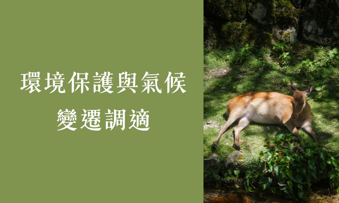 環境保護與氣候變遷調適[B][隨]